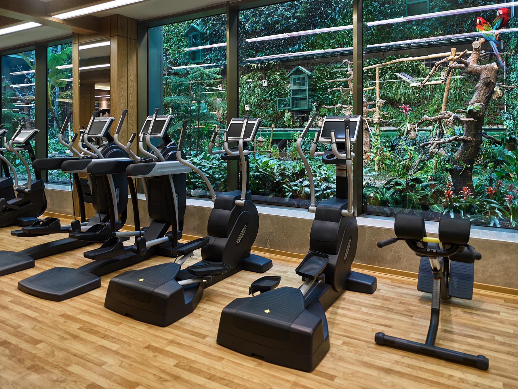 โรงแรมเอลิต เวิลด์ ยุโรป อิสตันบูล ภายนอก รูปภาพ A gym at the InterContinental Hotel, Singapore